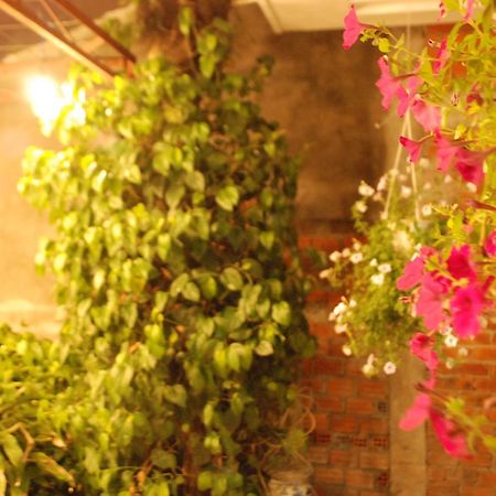 Winna Airport Hostel Ντα Νανγκ Εξωτερικό φωτογραφία